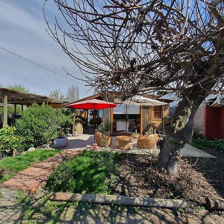 Cabana Corazon De Colchagua Sta Cruz Lejlighed Nancagua  Eksteriør billede