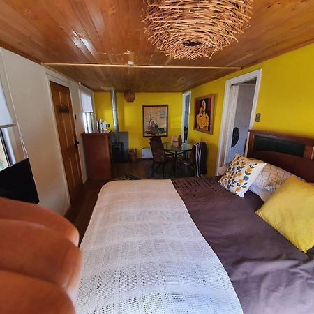 Cabana Corazon De Colchagua Sta Cruz Lejlighed Nancagua  Eksteriør billede