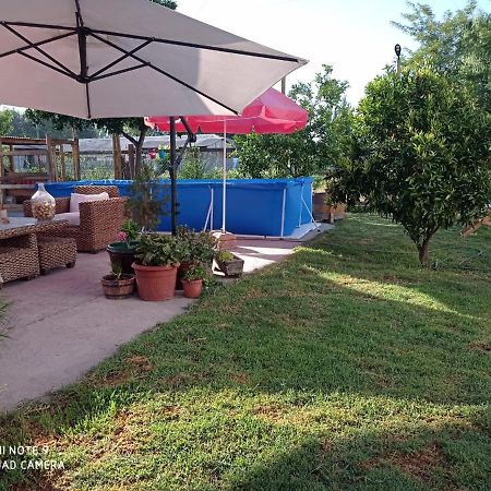 Cabana Corazon De Colchagua Sta Cruz Lejlighed Nancagua  Eksteriør billede