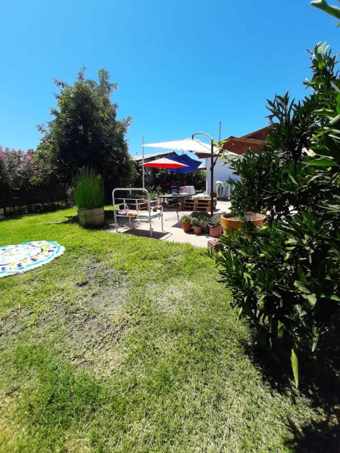 Cabana Corazon De Colchagua Sta Cruz Lejlighed Nancagua  Eksteriør billede