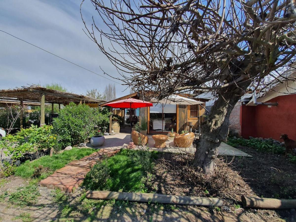 Cabana Corazon De Colchagua Sta Cruz Lejlighed Nancagua  Eksteriør billede